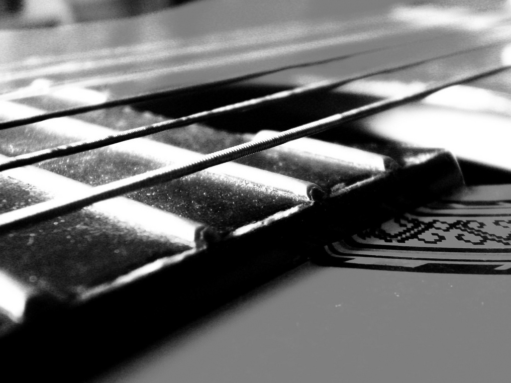 Guitar frets