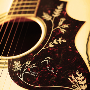 Acoustic Guitar