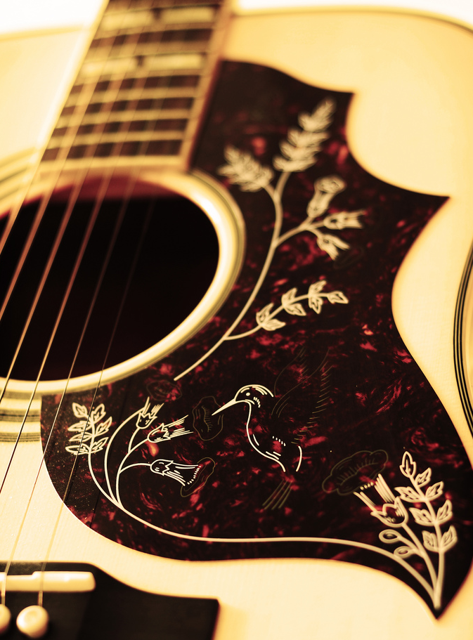 Acoustic Guitar